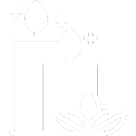 Unisoft | Transparan Ekranlar